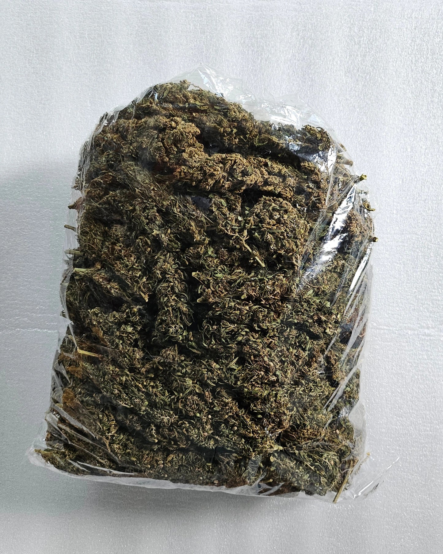 Thai Squirrel Tail landrace