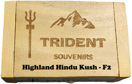 Highland Hindu Kush - F2